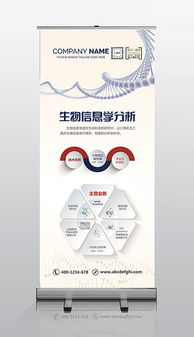 psd醫(yī)學(xué)易拉寶 psd格式醫(yī)學(xué)易拉寶素材圖片 psd醫(yī)學(xué)易拉寶設(shè)計模板 