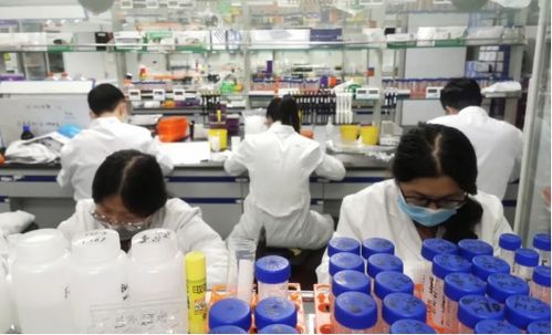 南京 新年第一會 真金白銀支持民營經(jīng)濟(jì)發(fā)展壯大