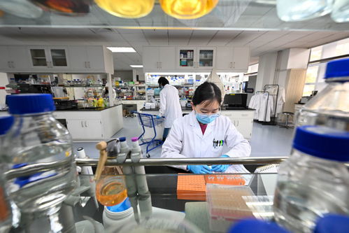 新華全媒丨我在崗位上迎新年 生物科技領(lǐng)域的守歲人與開拓者